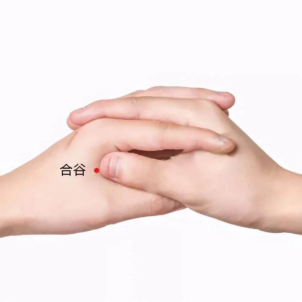 合谷穴