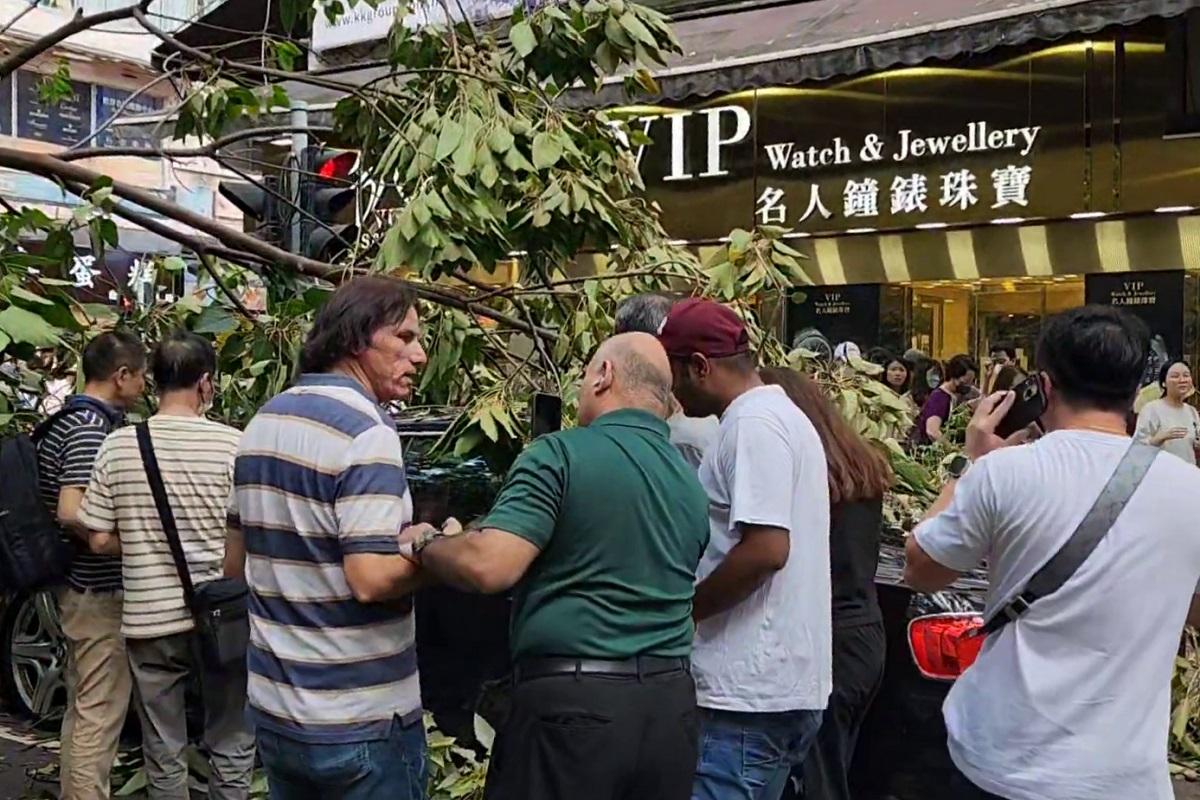 海防道下午有倒塌大樹擊中一輛私家車,途人紛紛上前提供協助。(網民Connie Yuen影片截圖)