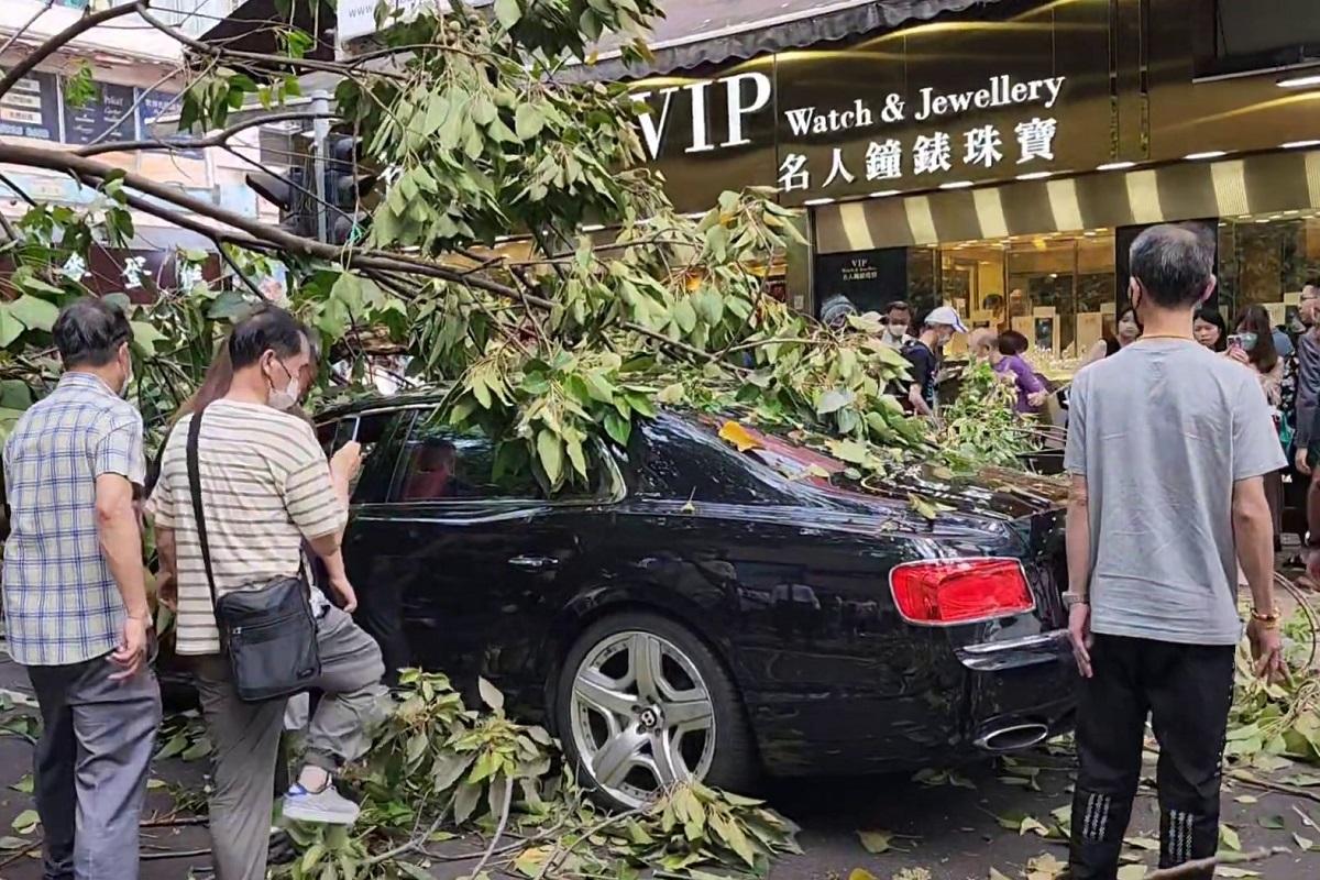 海防道下午有倒塌大樹擊中一輛私家車,途人紛紛上前提供協助。(網民Connie Yuen影片截圖)