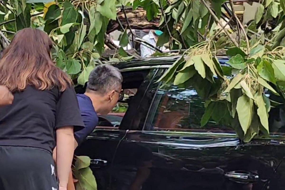 海防道下午有倒塌大樹擊中一輛私家車,有途人關心被困司機情況。(網民Connie Yuen影片截圖)