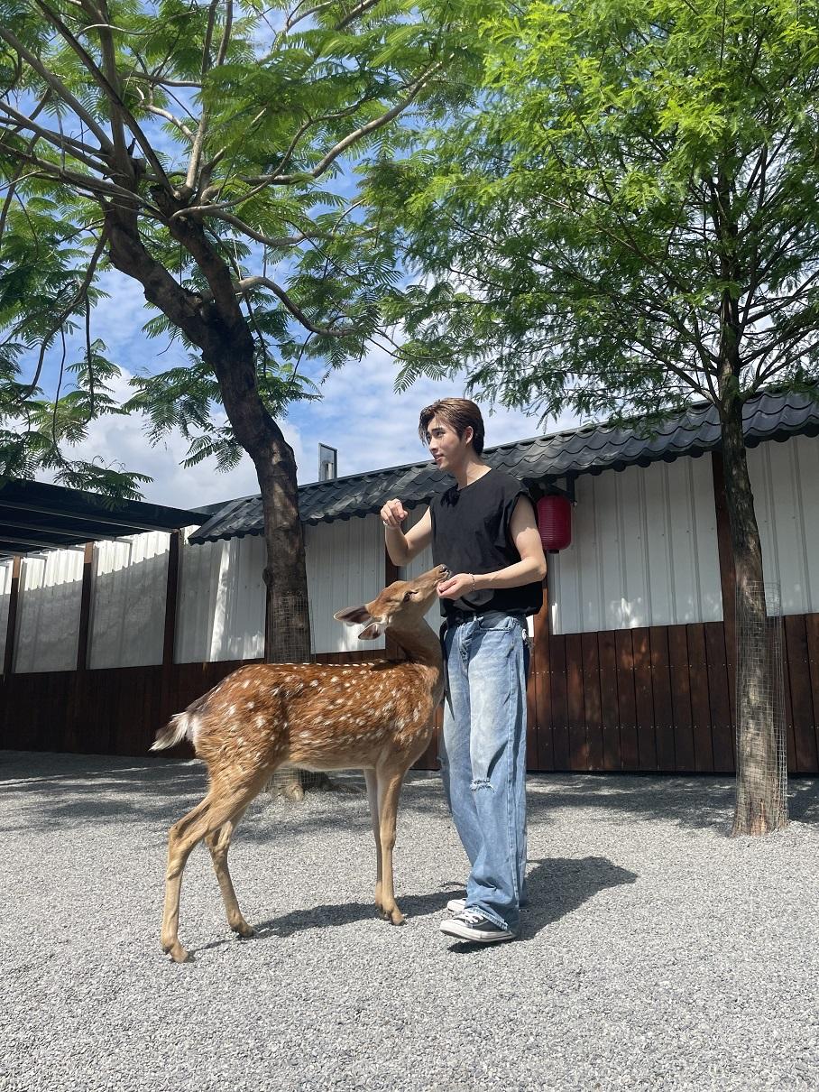 Phoebus體驗餵食梅花鹿。