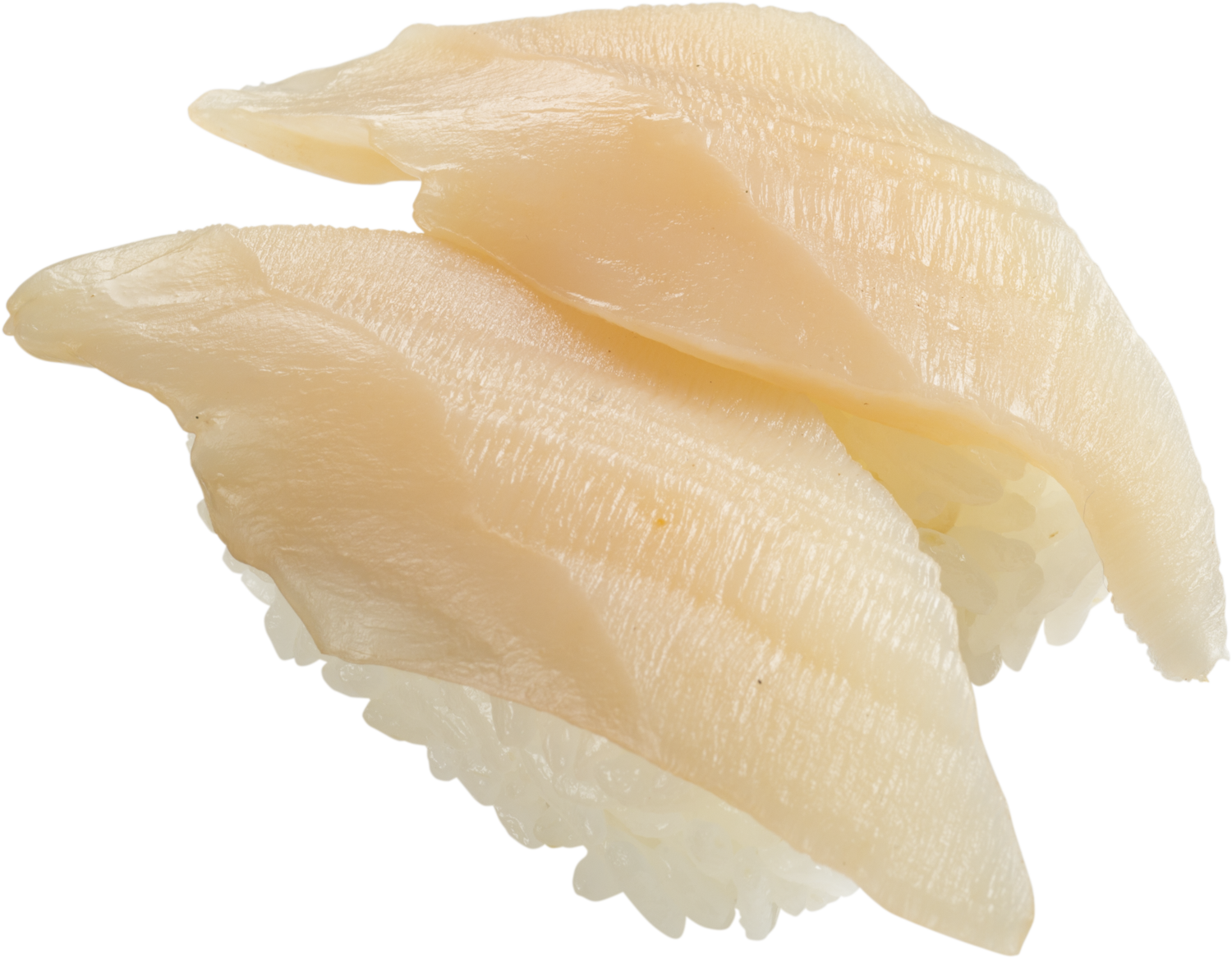 愛知縣三河産白象拔蚌 $27