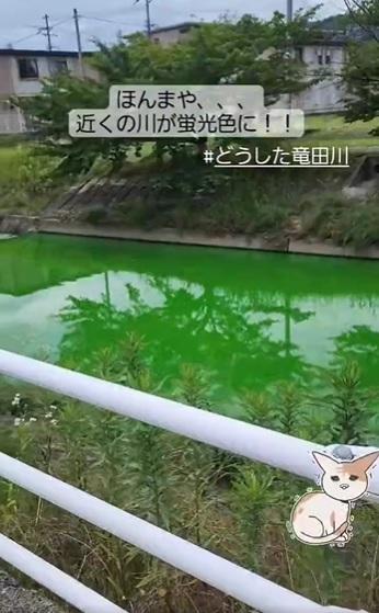 螢光綠河水,令人擔憂。(互聯網)