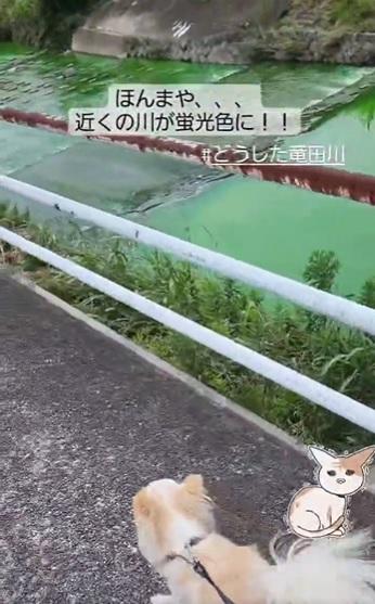 欄杆上有紅褐色物質。(互聯網)