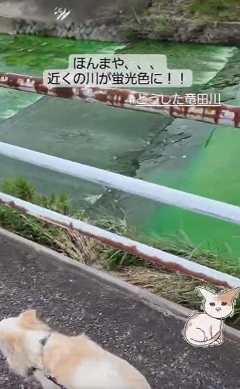 欄杆上有紅褐色物質。(互聯網)