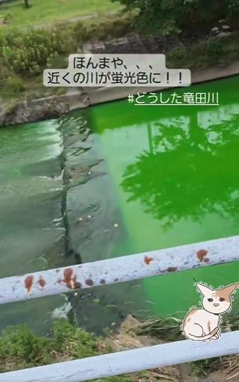 居民擔心河水受污染。(互聯網)