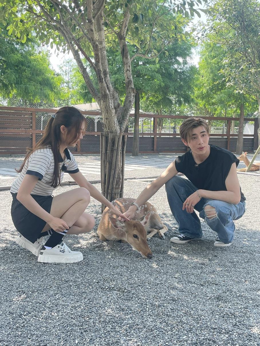 葛綽瑤(Yoyo)和吳啟洋(Phoebus)往農場餵動物。