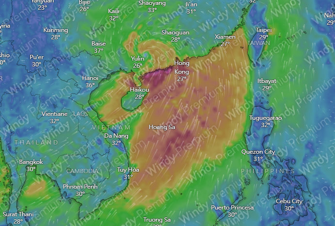 天文網站Windy預計下一個颱風杜蘇芮將在下周四越過香港。(網上截圖)