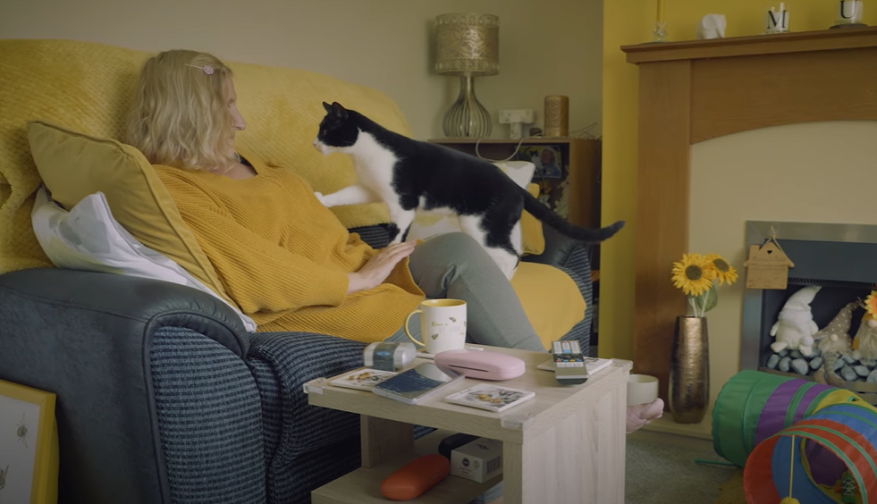 兩歲貓仔Zebby見電話響會拍打主人通知她。(互聯網)