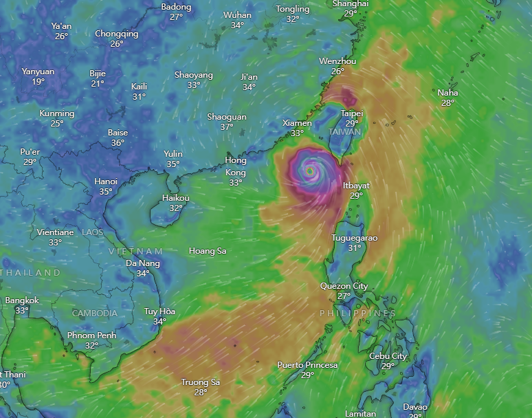 颱風杜蘇芮|Windy周四預計路徑。(Windy截圖)