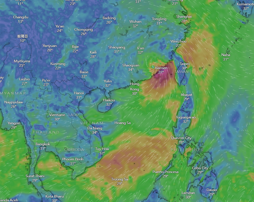 颱風杜蘇芮|Windy周五預計路徑。(Windy截圖)