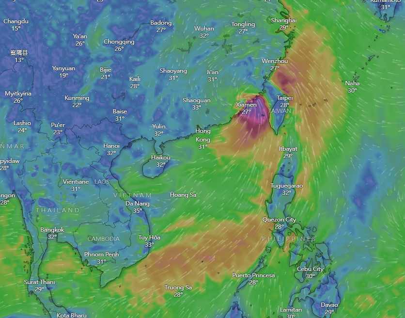 颱風杜蘇芮|Windy預計明天路徑。(Windy截圖)