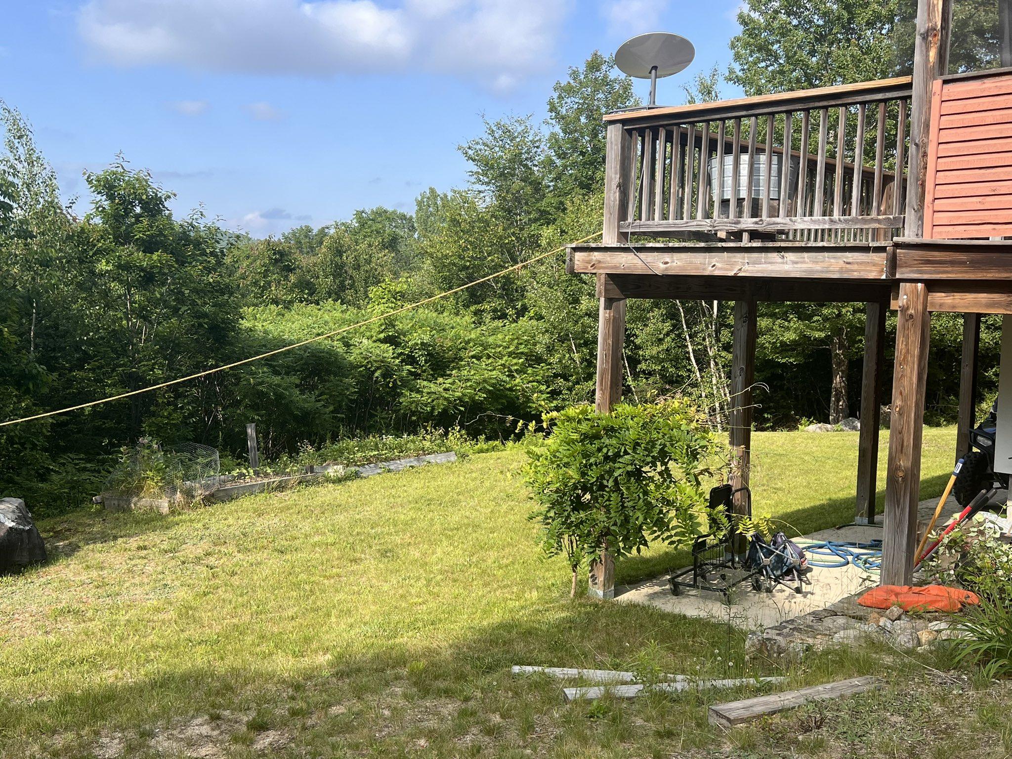 Lynn Kelly打理家中後院期間,突然聽到愛犬朝著樹林狂吠。(Twitter)