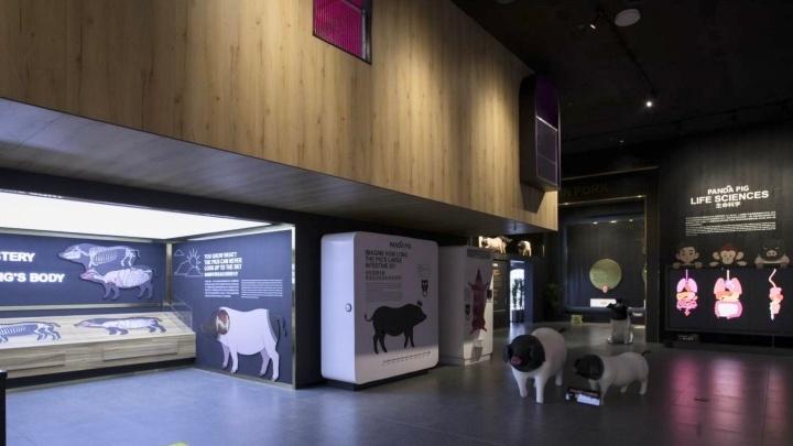 浙江金華「熊貓豬豬兩頭烏國際牧場」。(微博)