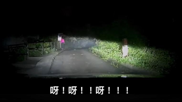 片中女聲隨即叫停車,接著連聲大叫將車退後,並問:「你見唔見到?」(車cam L(香港群組)@FB)