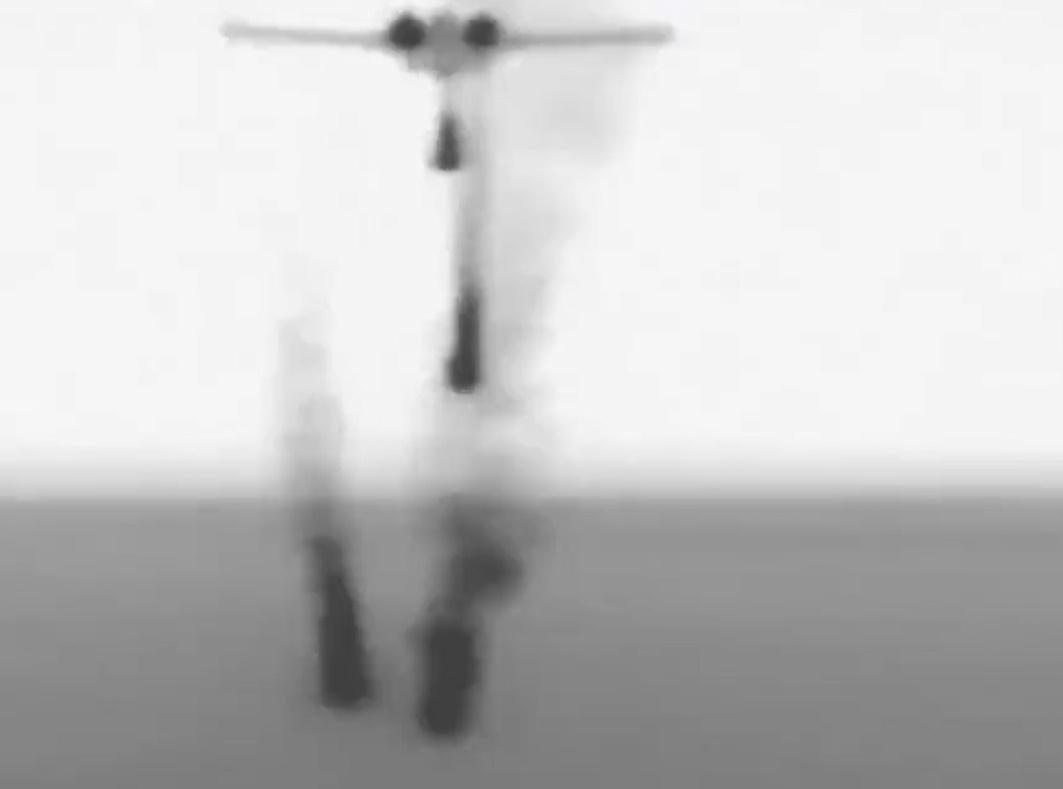 蘇-35隨後投放照明彈攻擊MQ-9,導致無人機螺旋槳嚴重受損。(X)