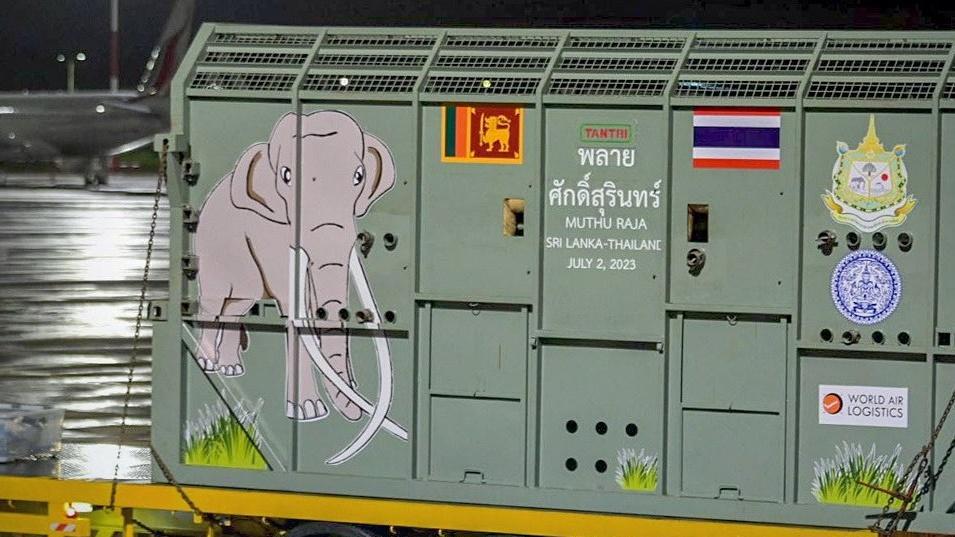 拉加於由斯里蘭卡首都科倫坡登機。(網上圖片)