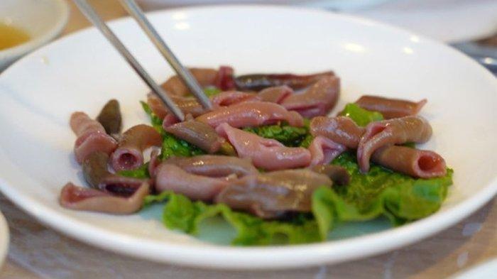 日韓視為美食,也可入藥。(網上圖片)