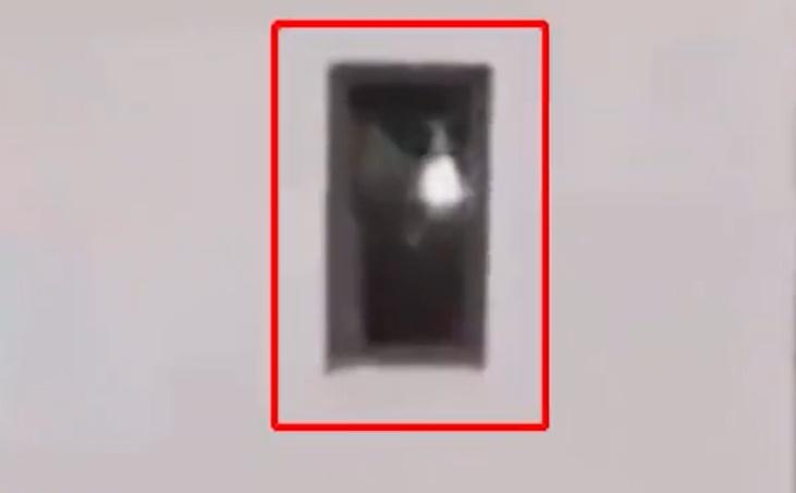 網上瘋傳一段影片顯示,一隻貓咪從高樓墮下。(微博)