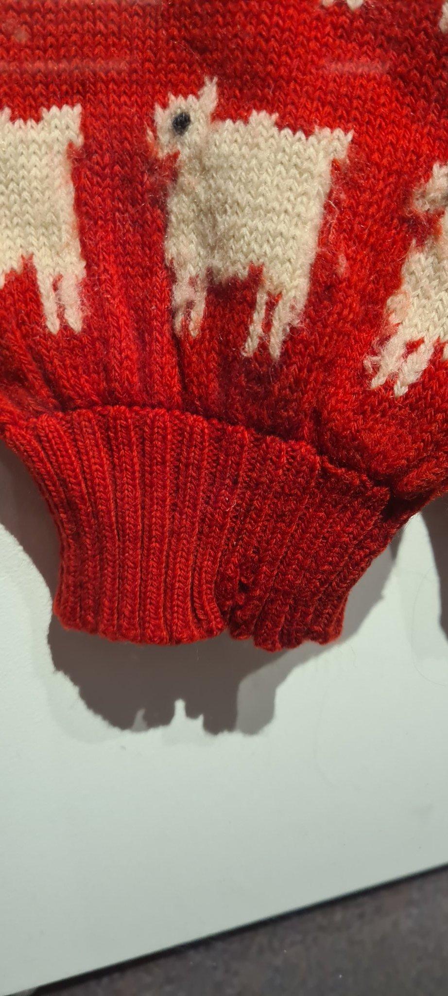 後來因為冷衫的袖口受損,戴安娜就將衣服寄給Warm & Wonderful聯合創辦人Joanna Osborne。(網上圖片)