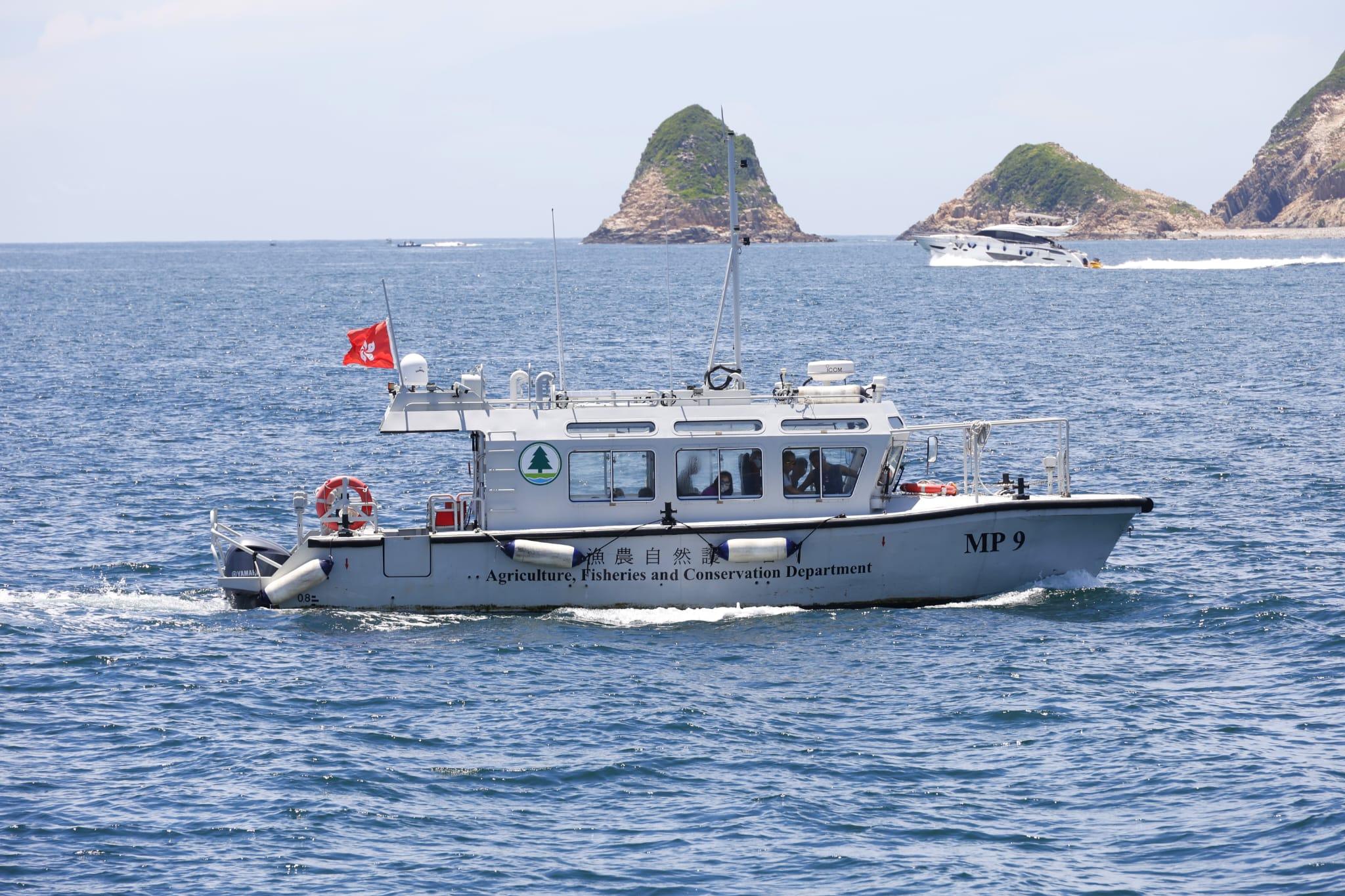 在發現鯨魚水域附近,有水警及漁護署船隻巡邏,勸喻船隻如發現鯨魚切勿靠近。(林俊源攝)
