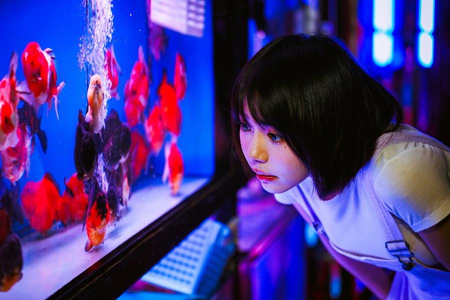 林明禎逛金魚街。