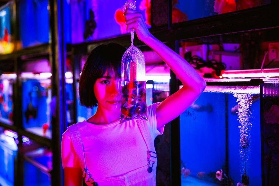 林明禎逛金魚街。