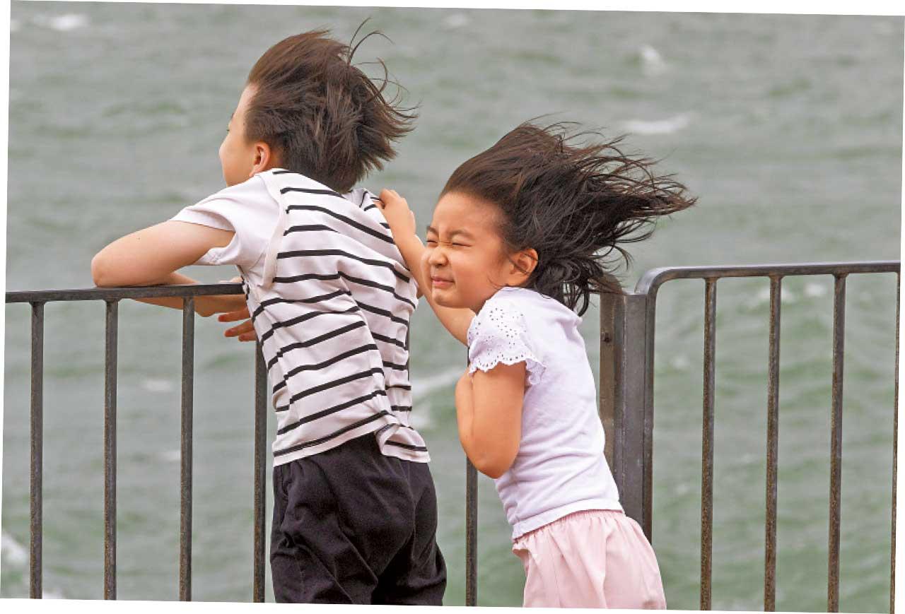 颱風泰利 8號風球