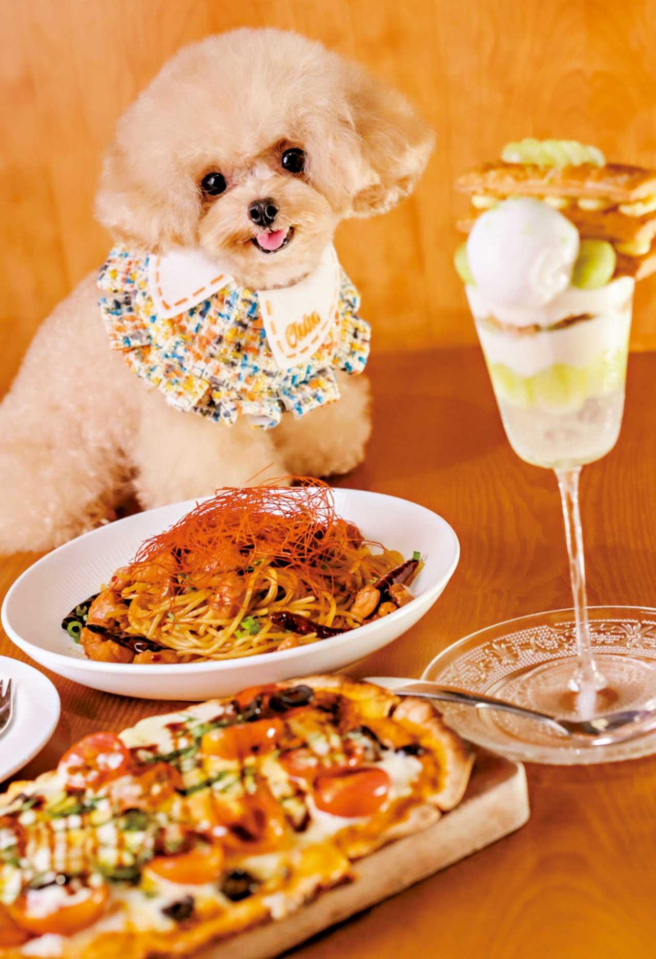 黃埔天地 嘆美食寵毛孩攝影比賽