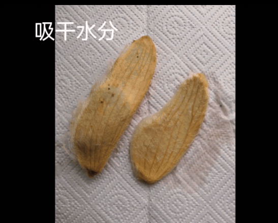 用紙巾吸乾水分。