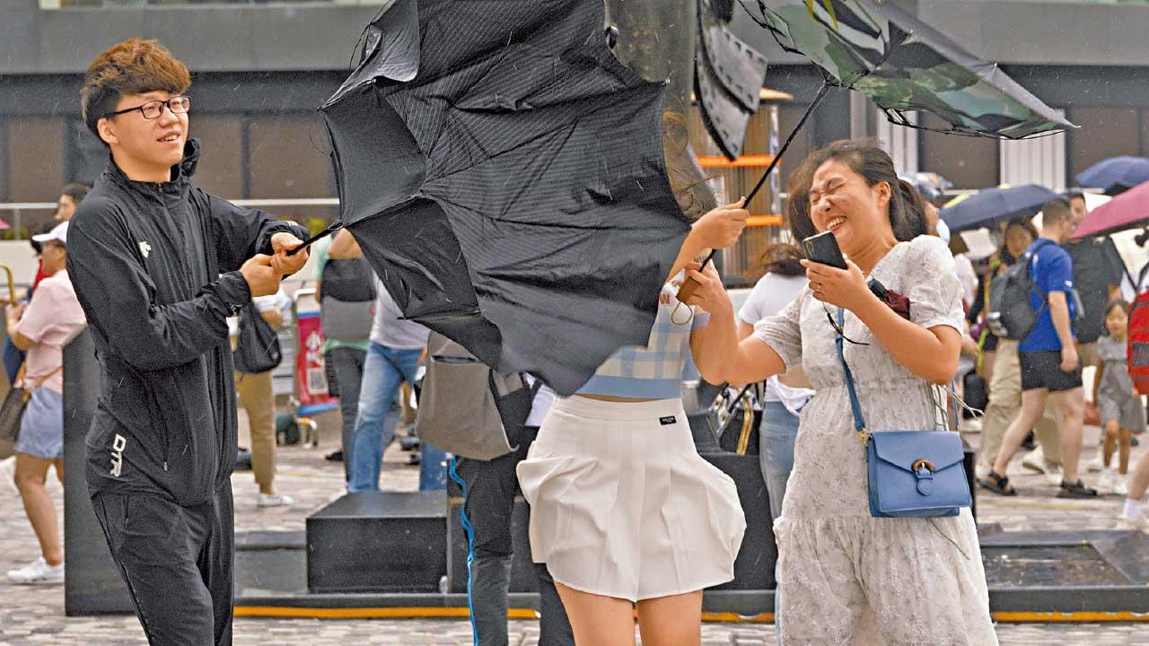 颱風泰利 8號風球