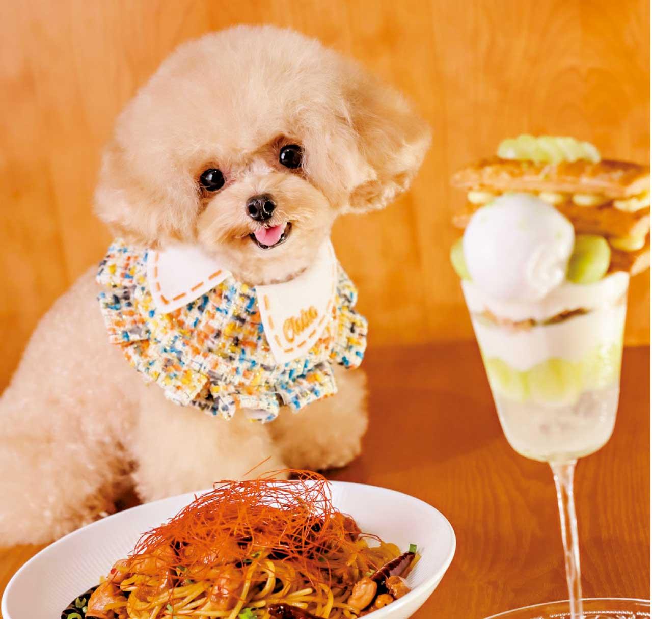 黃埔天地「嘆美食‧寵毛孩 攝影比賽」