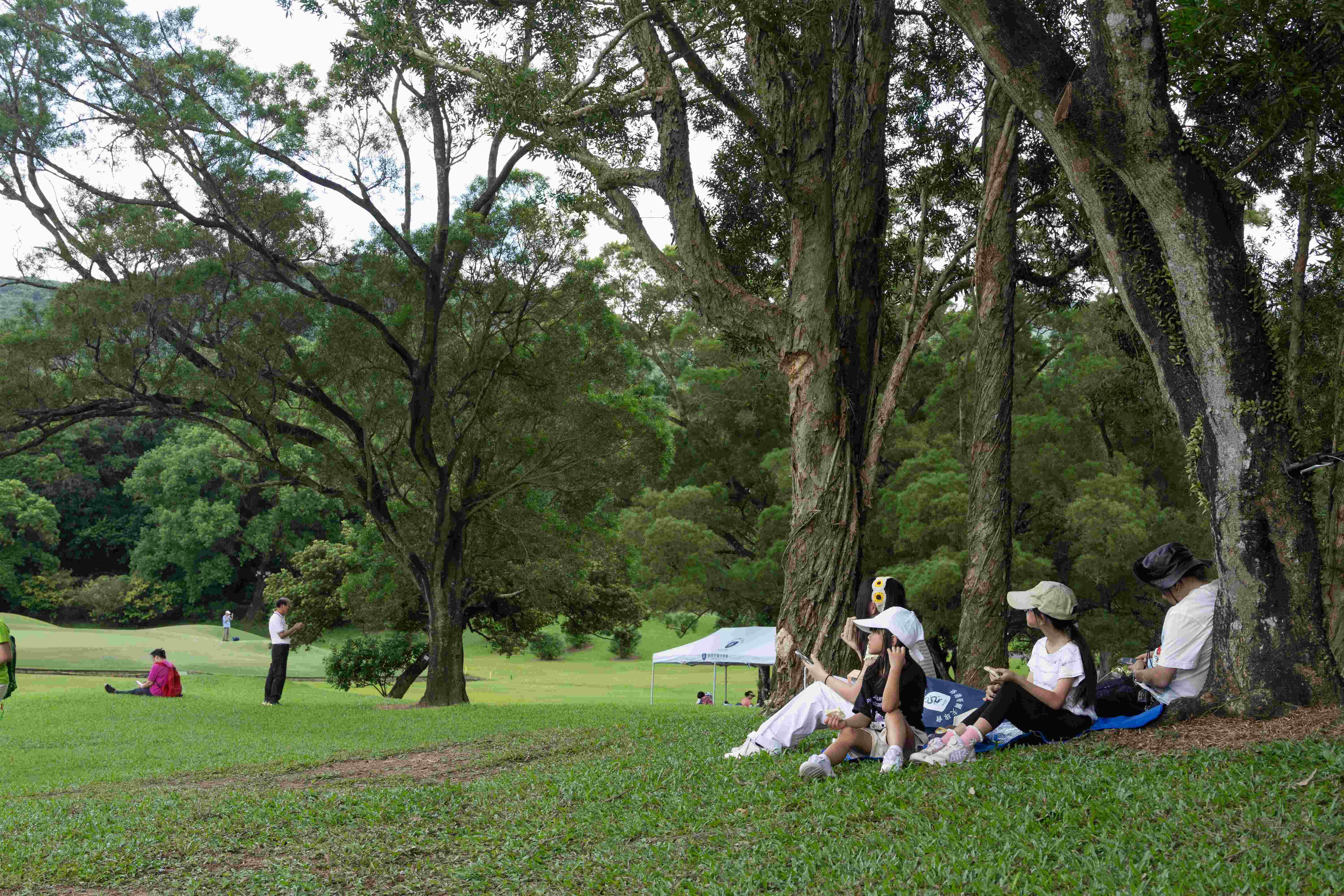 上水 粉嶺香港哥爾夫球會開放部份場地給予公眾消閑 粉嶺高球場