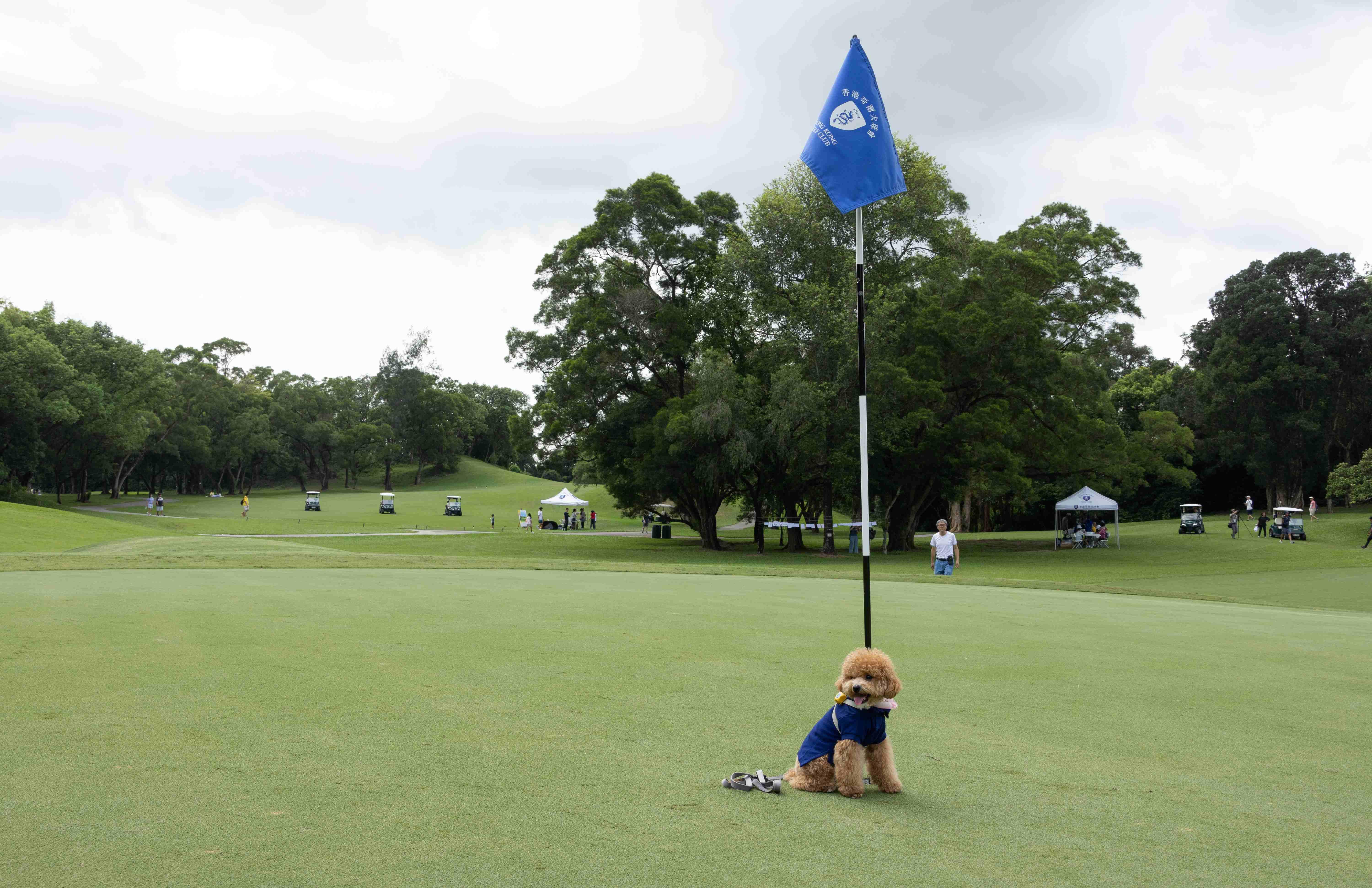 上水 粉嶺香港哥爾夫球會開放部份場地給予公眾消閑 粉嶺高球場