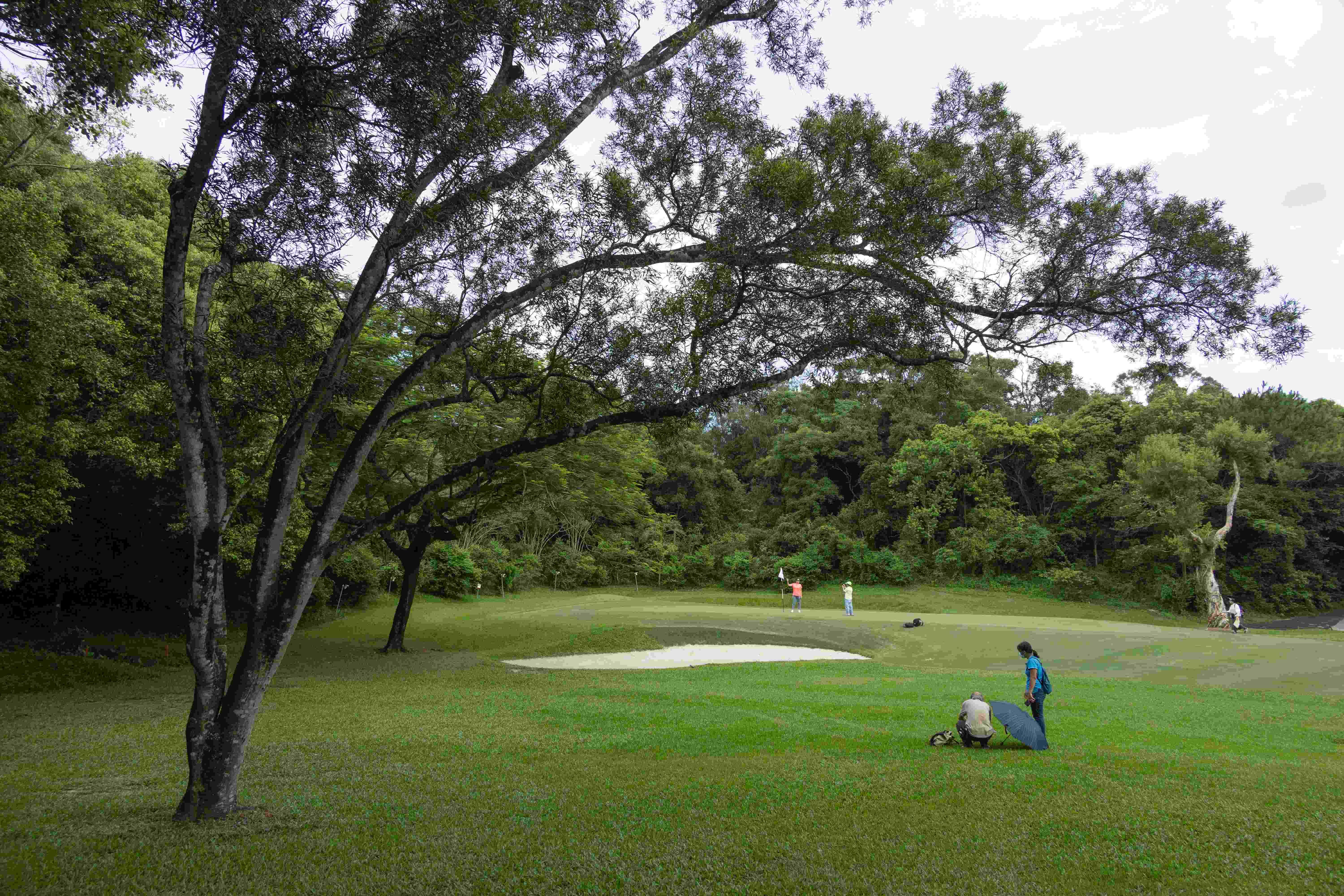 上水 粉嶺香港哥爾夫球會開放部份場地給予公眾消閑 粉嶺高球場
