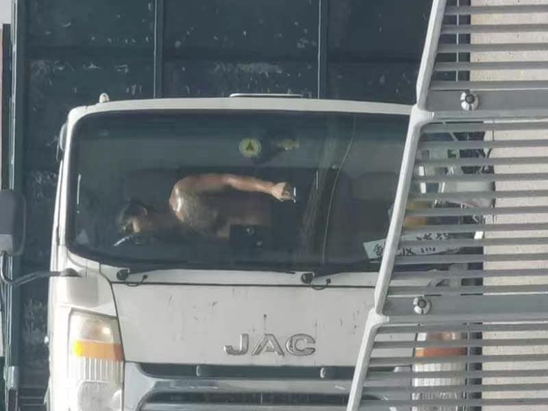 有網民改角度,指涉事司機在玩人體飄浮。(網上圖片)