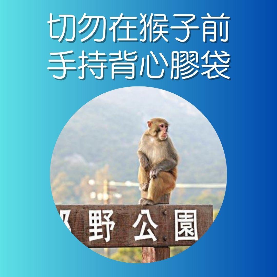 漁護署指引,遇到猴子時注意事項。(AM730製圖)