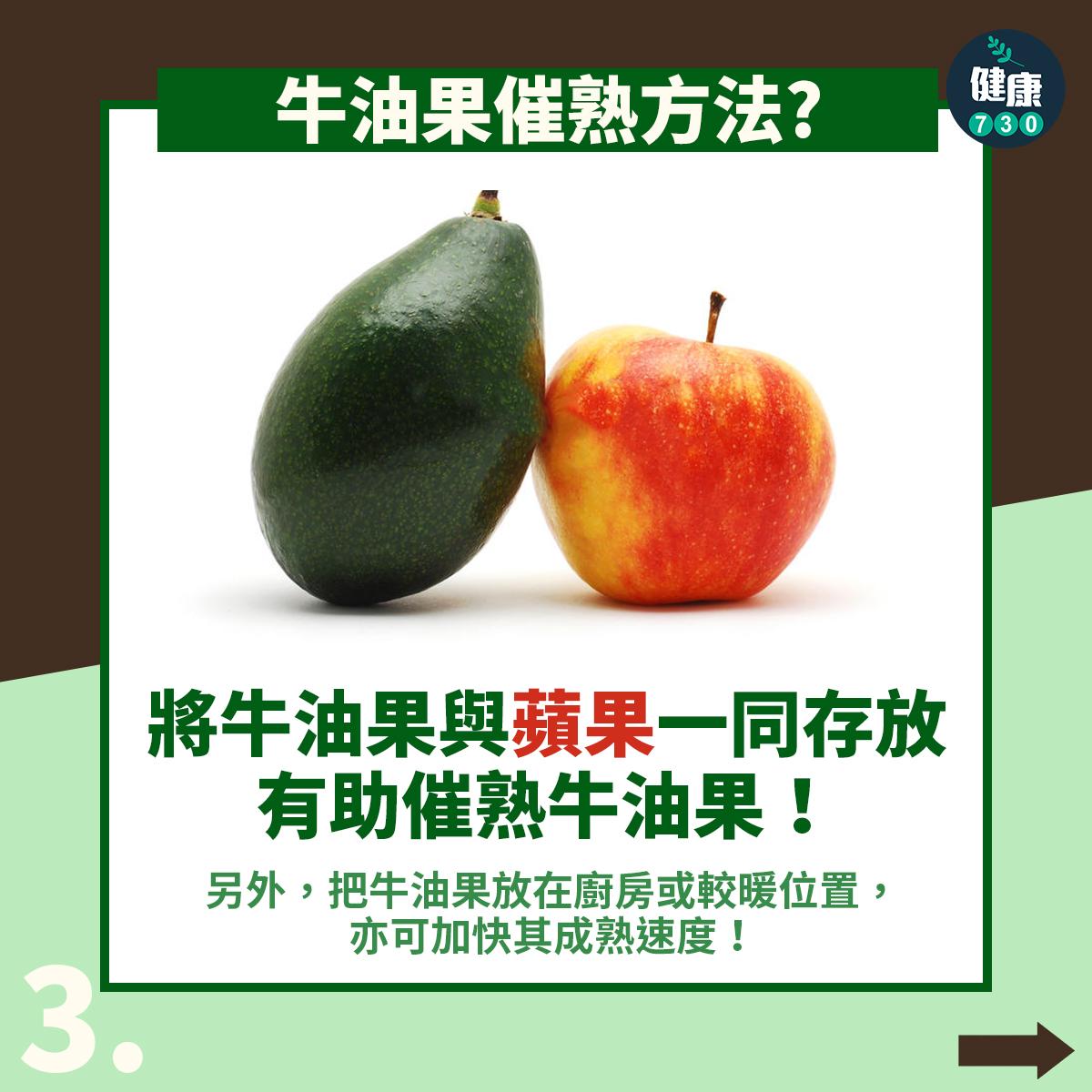 牛油果常見問題