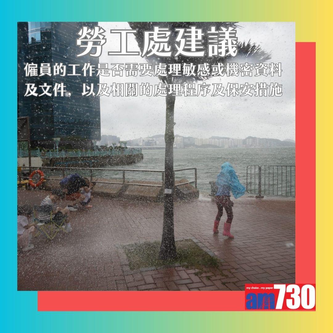 8號風球要求員工WFH是否合法?勞工處指引如下。(AM730製圖)