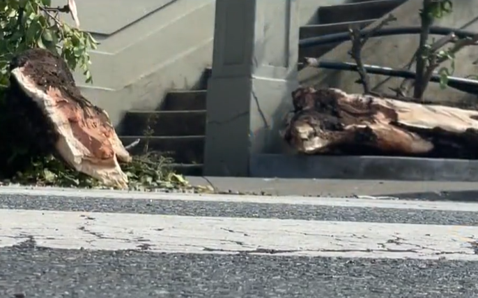 三藩市炮彈飛車