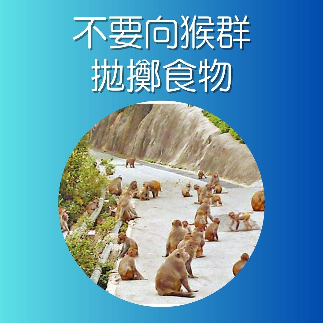 漁護署指引,遇到猴子時注意事項。(AM730製圖)