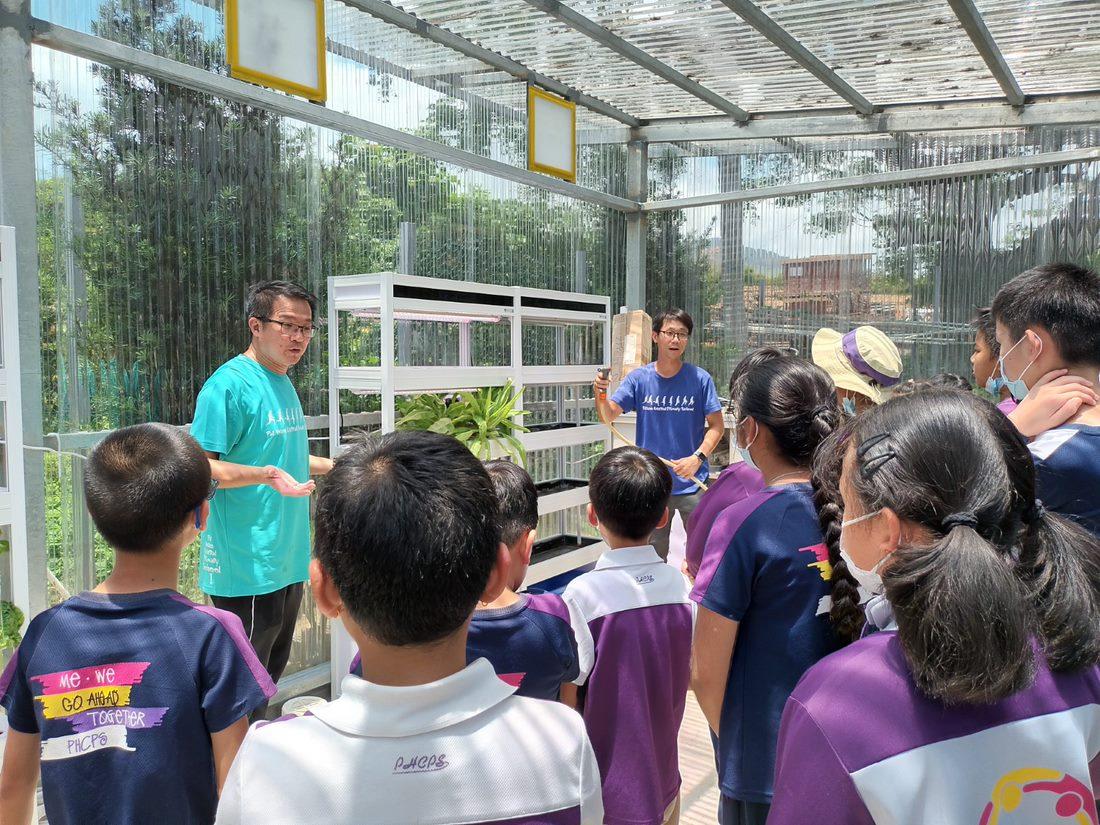 煤氣公司物聯網系統支援水耕運作,將系統免費向學校推廣,元朗八鄉中心小學成為首間採用該系統的學校。