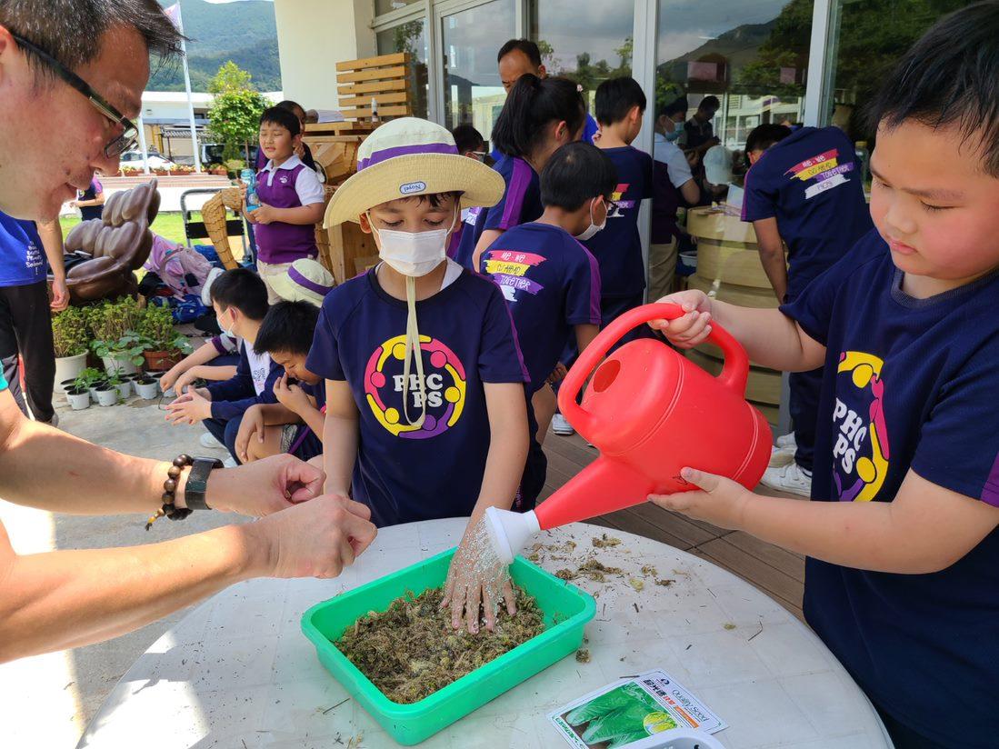 煤氣公司物聯網系統支援水耕運作,將系統免費向學校推廣,元朗八鄉中心小學成為首間採用該系統的學校。