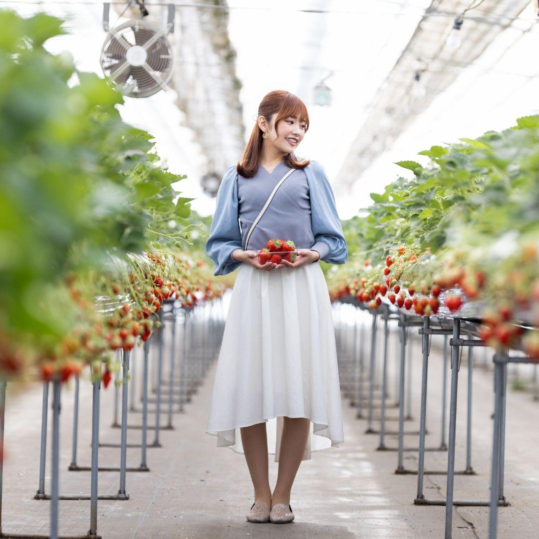 只要¥ 2,000/HK$110即可於30分鐘內任摘任食士多啤梨。