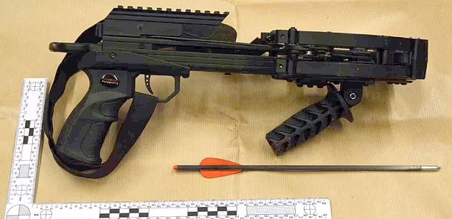 AI危險|被告當日所持的十字弓。(互聯網)