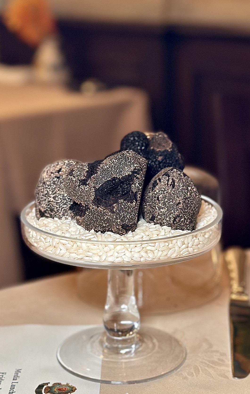 Chef Claudio今年特選源自澳洲的黑松露菌