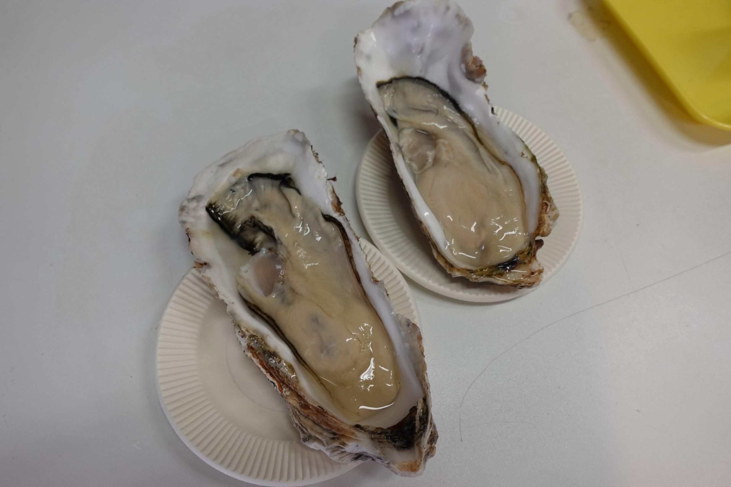 「中原水產」新鮮生蠔