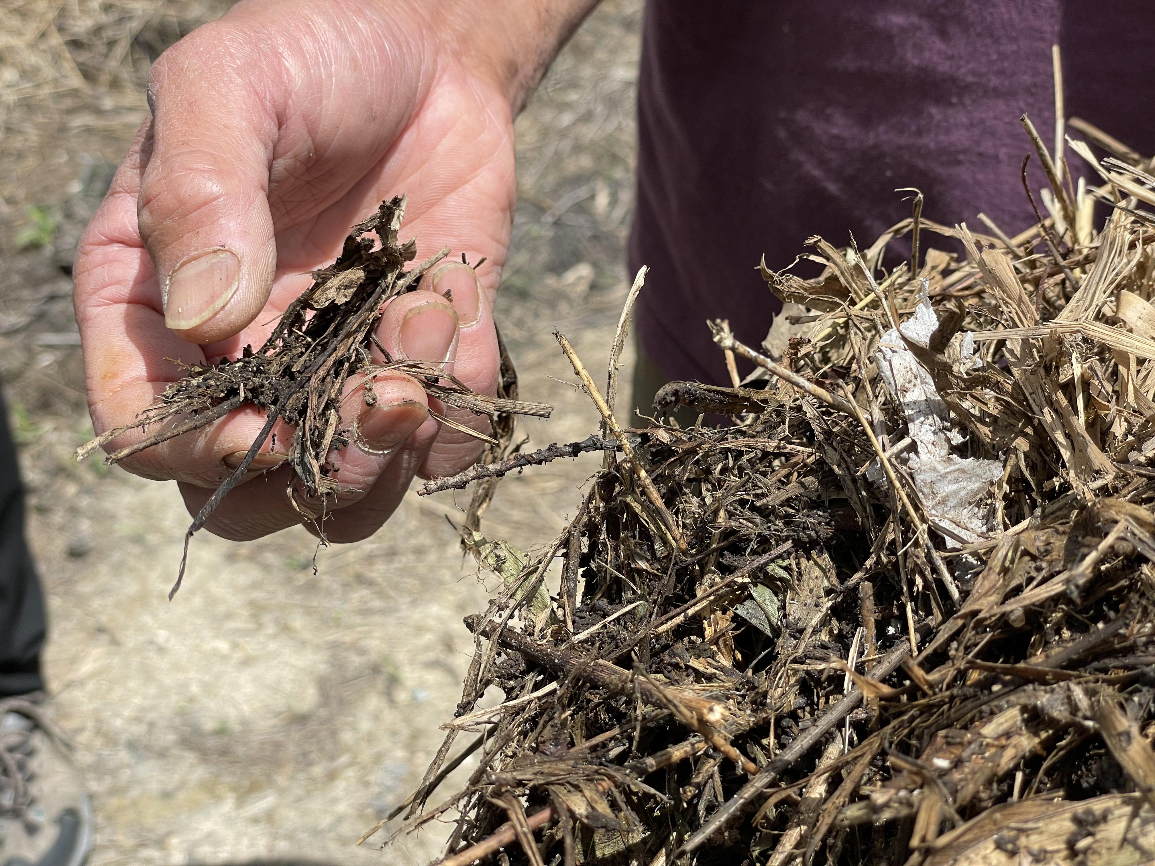 農場使用自行發酵的有機肥料。