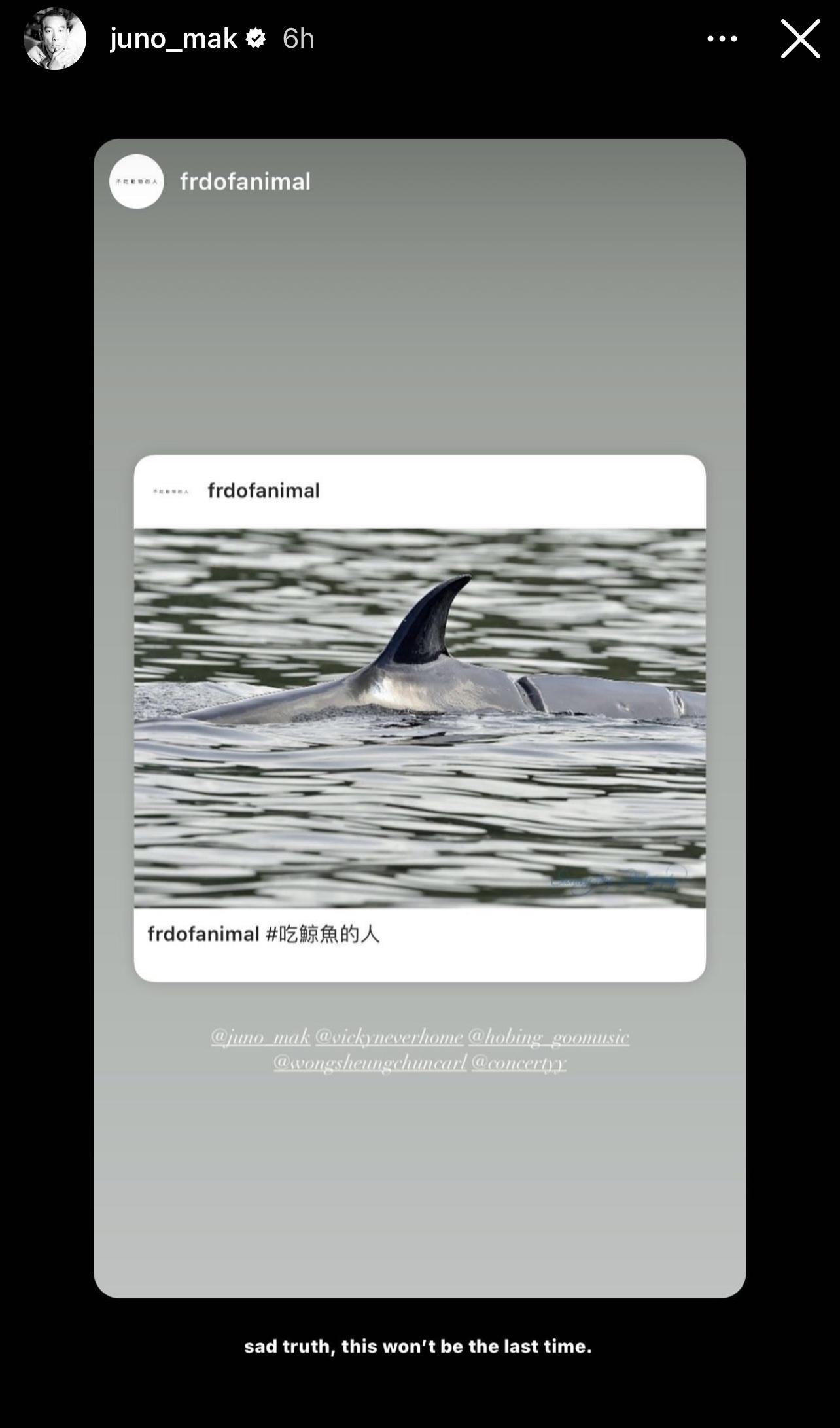 Juno亦有在IG Story轉貼網民憑歌寄意的心聲。