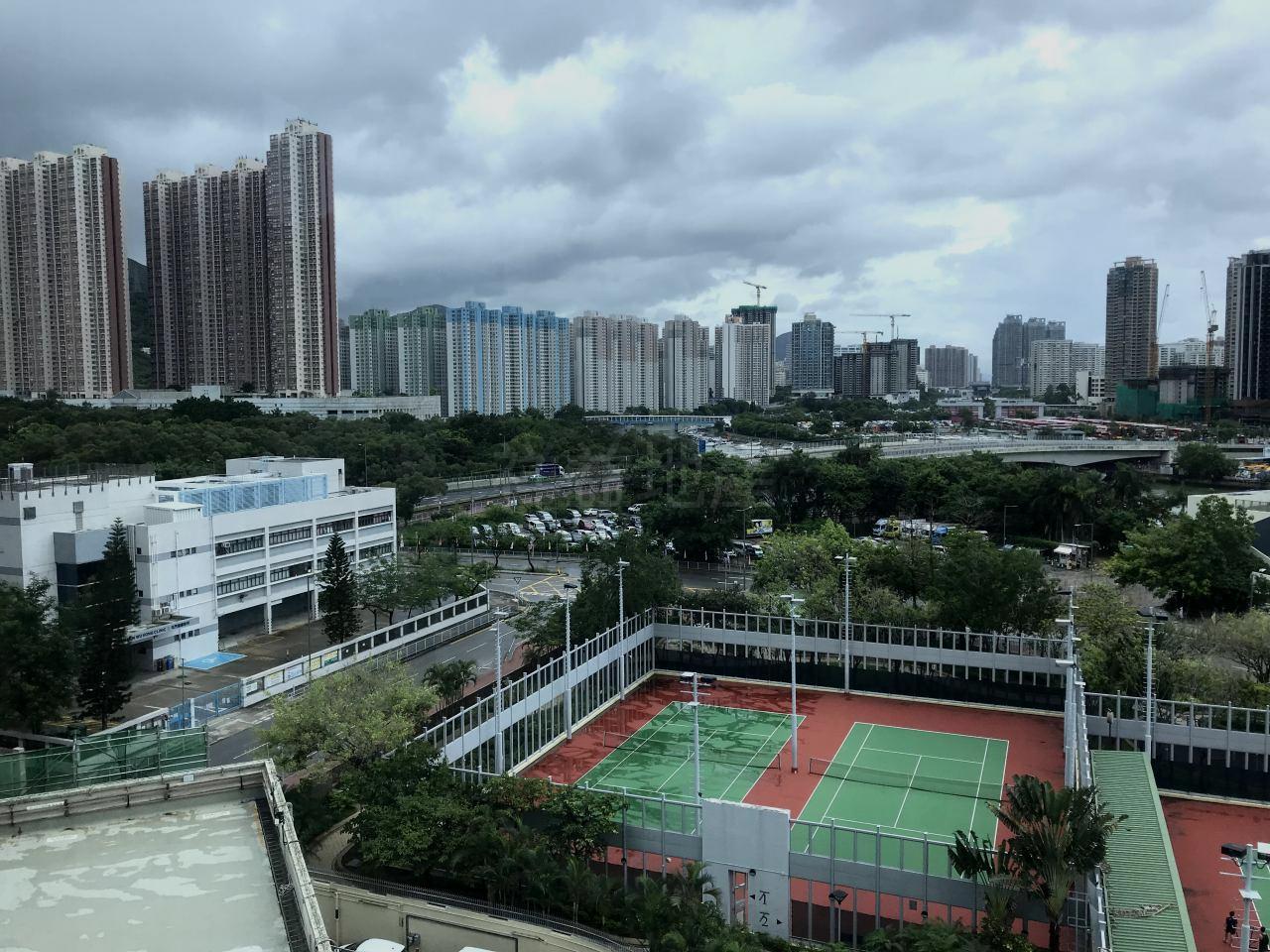 部分景觀望網球場景。(代理提供)